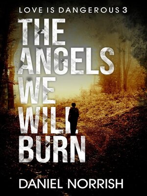 cover image of The Angels We Will Burn